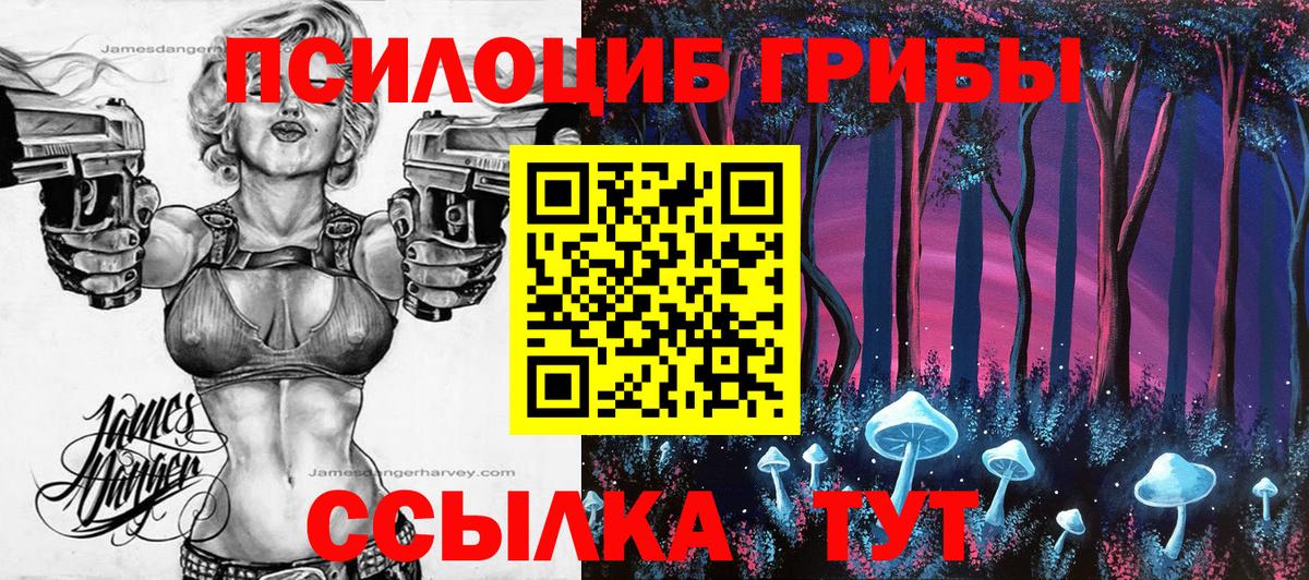 Галлюциногенные грибы мухоморы Сарапул